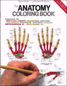 anatomy-coloring-book1